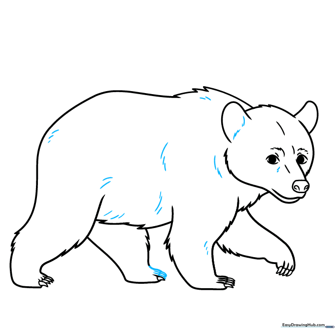 Completed line art of a black bear ready for coloring.