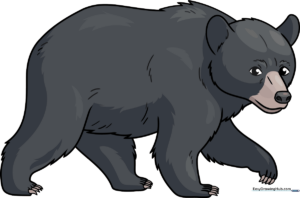 A friendly, cartoon-style black bear standing in a forest setting.