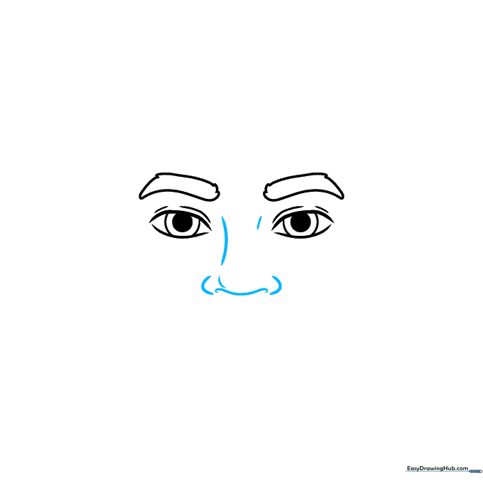 Pencil sketch showing the bridge and nostrils of a nose centered below the eyes.