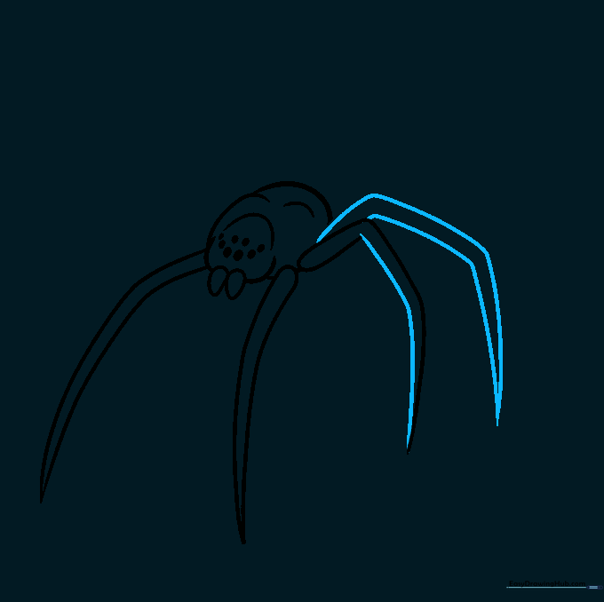 Drawing the fourth leg with parallel curved lines that taper to a sharp point.