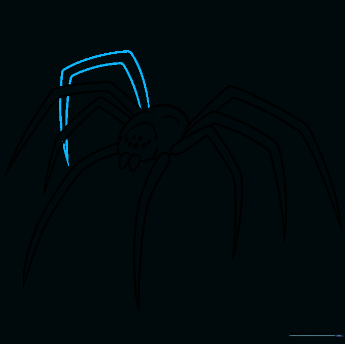 Drawing the final eighth leg, tucked behind the other legs to show perspective.