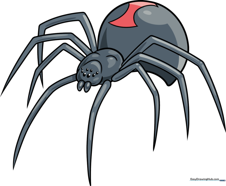A finished, high-quality illustration of a cartoon Black Widow spider, showcasing the iconic red hourglass.