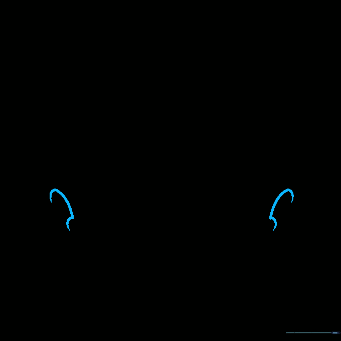 Close-up of ear shapes with inner contour lines added for detail.