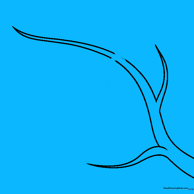 Drawing a heart-shaped petal outline hanging from the stem