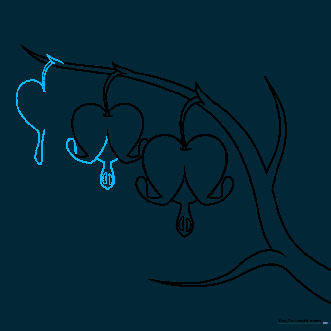 Drawing the final, smallest flower at the tip of the stem