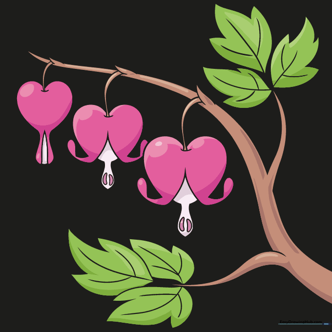 The completed, colored bleeding heart flower drawing