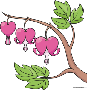 A vibrant, finished drawing of a bleeding heart flower with green leaves and pink petals