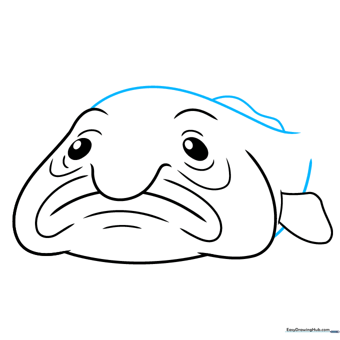 Full body outline of the blobfish with a small dorsal fin on the back