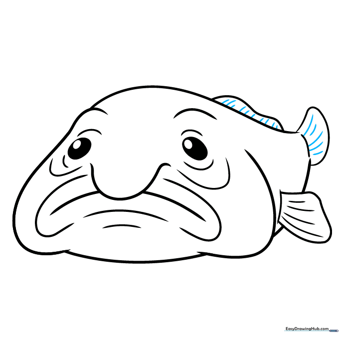 Final texture lines added to the fins of the blobfish drawing