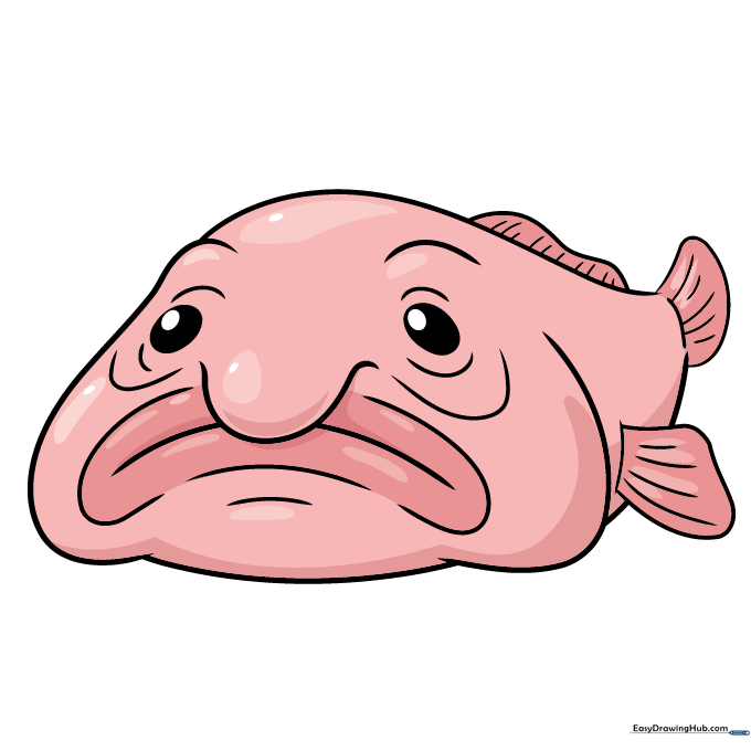 Finished, colored cartoon blobfish drawing with pink skin tones