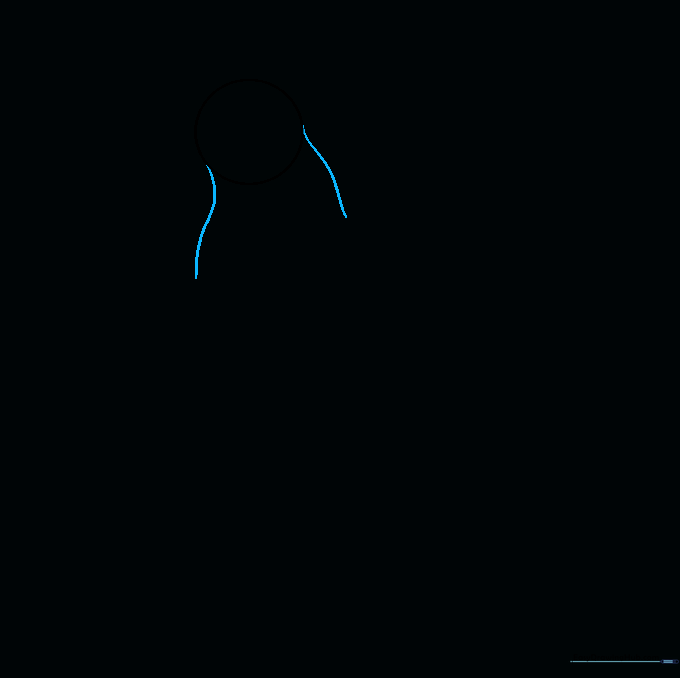 Two curved lines extending from the head circle to define the neck structure of the bird.