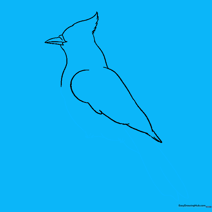 The bird's tail and leg structures added to the main body outline.