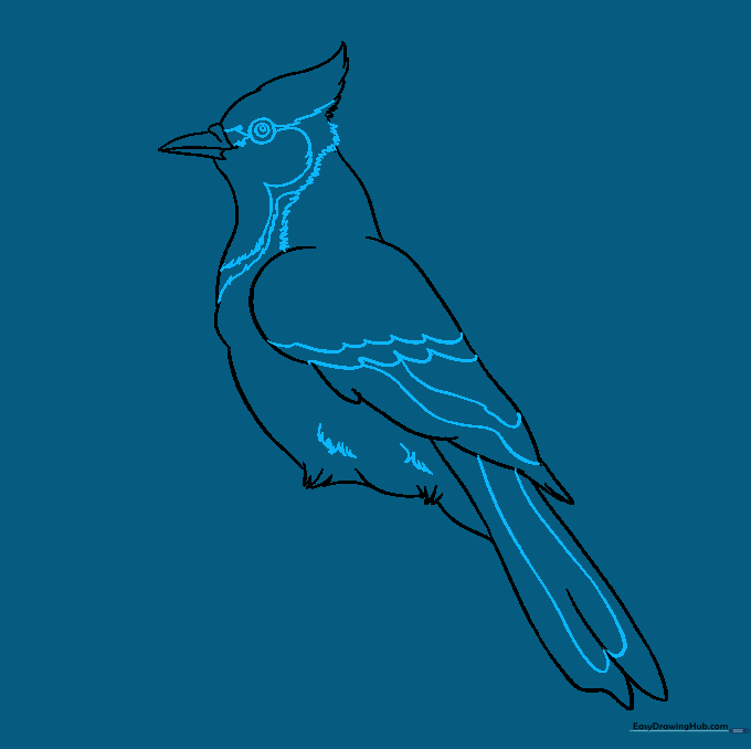 Detailed eye, wing patterns, and facial markings added to the blue jay outline.