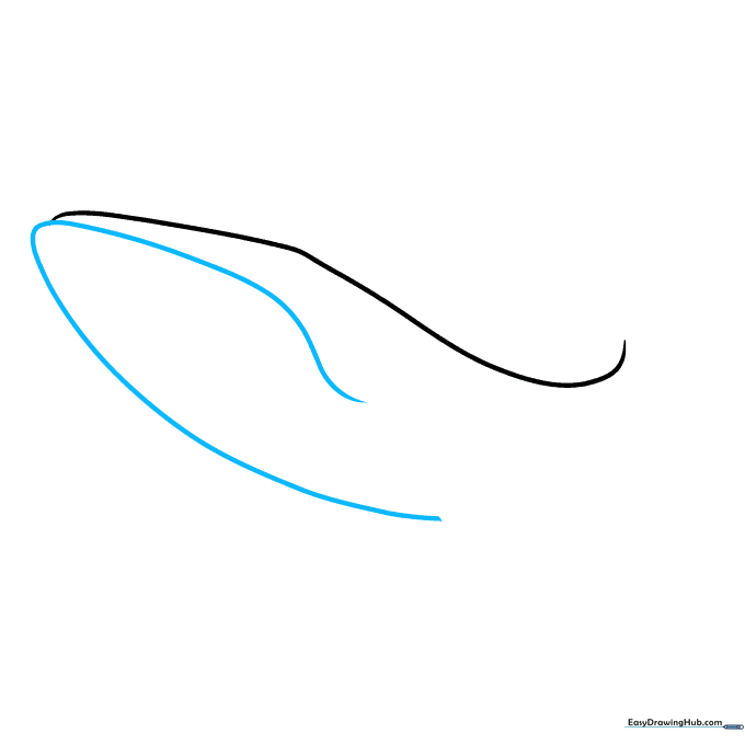 A second curved line added to the bottom, completing the outline of the whale's mouth and belly.
