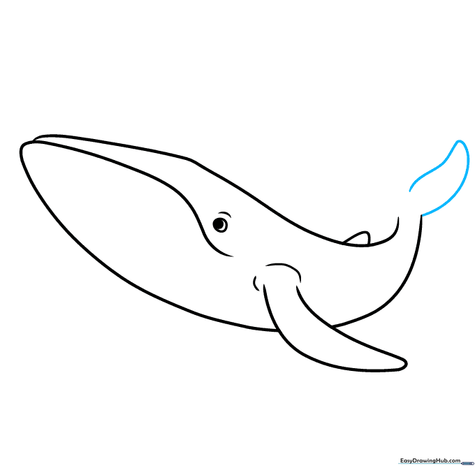 The first part of the whale's tail fin drawn as a partial teardrop shape.