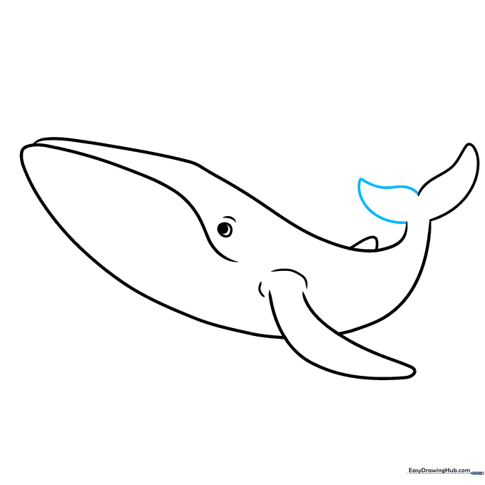 The second half of the tail fin added, completing the whale's tail structure.