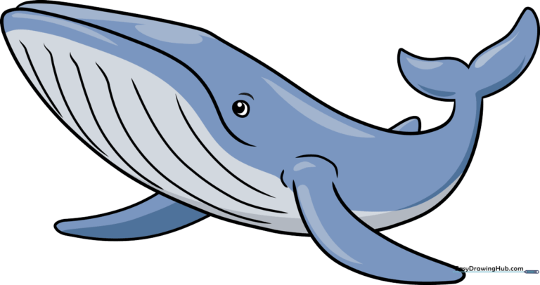 A colorful, friendly cartoon blue whale swimming, representing the final result of the tutorial.