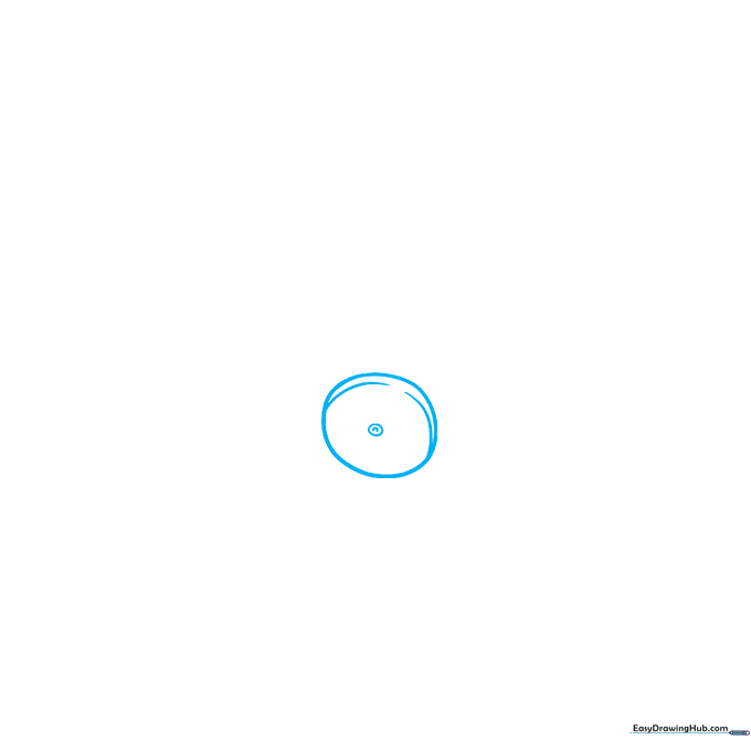 Pencil sketch showing a circular blueberry base with a small central calyx detail.