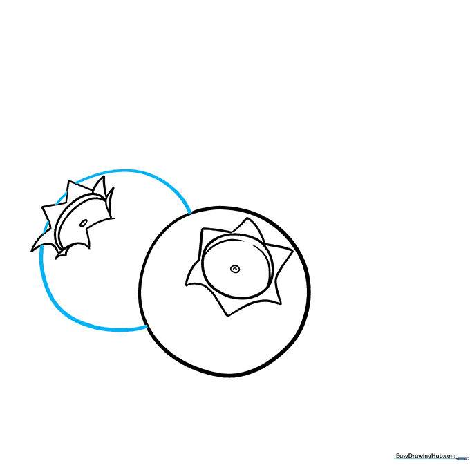 Drawing the outline of the second blueberry, showing it overlapping the first.