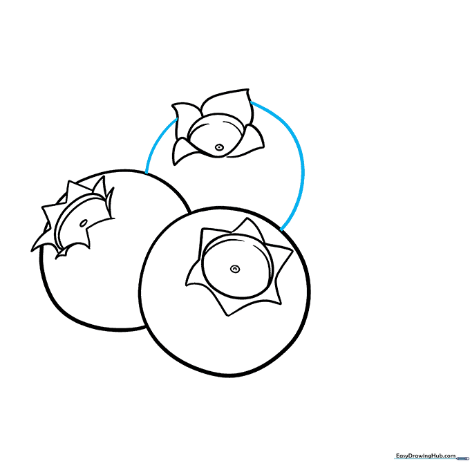 Completing the outline for the third and final blueberry in the cluster.