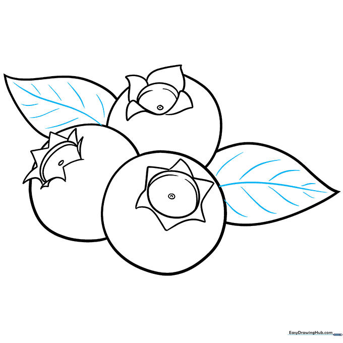 Adding vein details to the leaves to complete the line art.