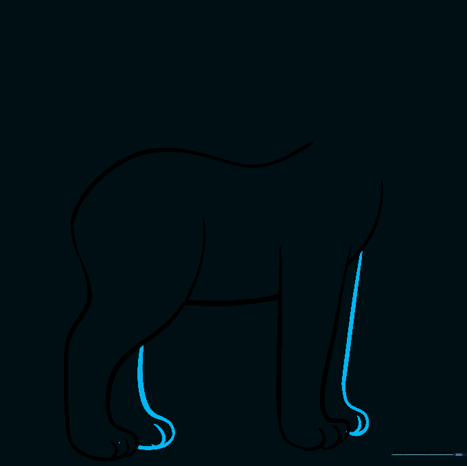 Adding the back legs to the bobcat sketch to complete the stance.