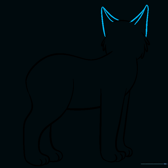 Drawing the triangular ears on top of the bobcat's head.