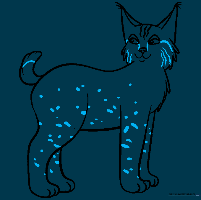 Adding spots and fur patterns to the bobcat's body.