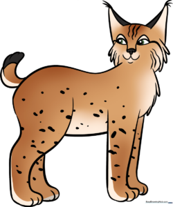 A friendly cartoon bobcat standing in a forest setting, ready for coloring.