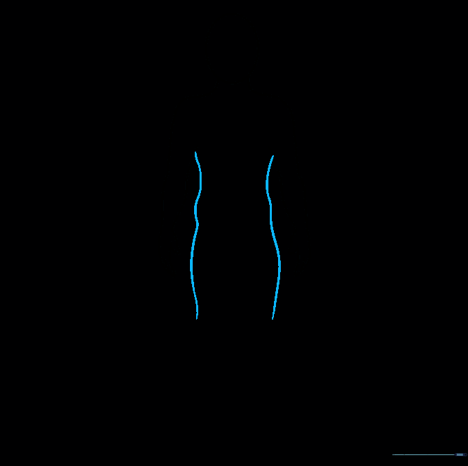 Sketching the torso lines showing the transition from the waist to the hip area.