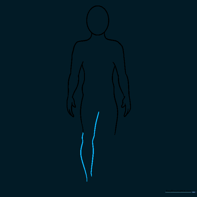 Drawing the first leg with curves defining the knee and calf muscle.