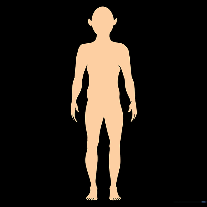The completed human body outline ready for customization.