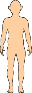 A clean, finished line art drawing of a human body outline.