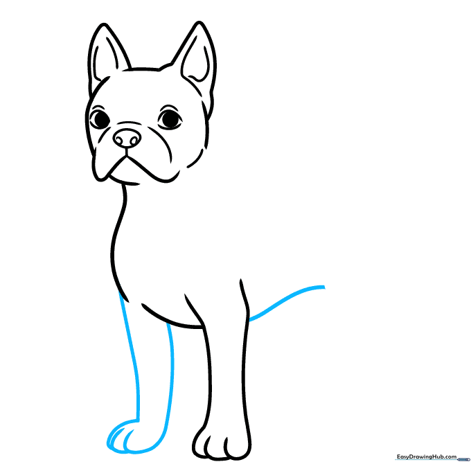 Adding the second front leg and belly line to the dog sketch.