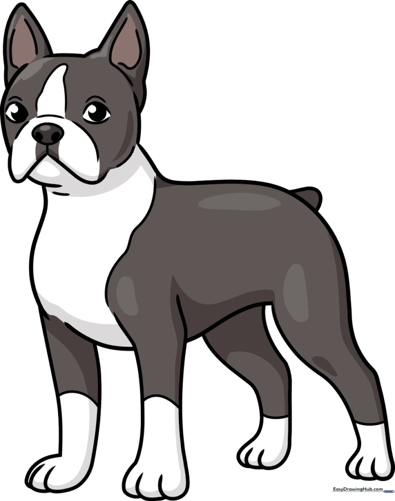 Colorful illustration of a friendly Boston Terrier, the final result of the drawing tutorial.