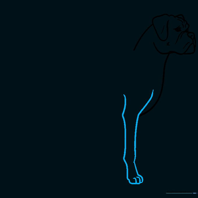 Sketching the first front leg with a defined knee and paw toes.