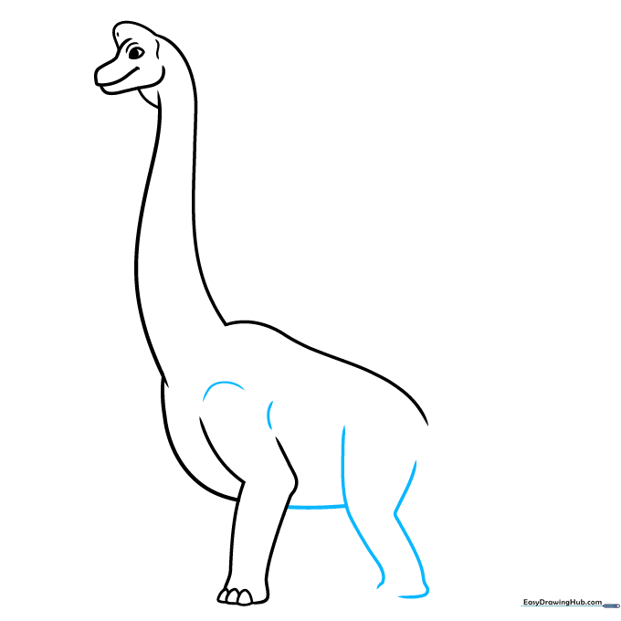 Drawing the rear leg and connecting it to the belly line.