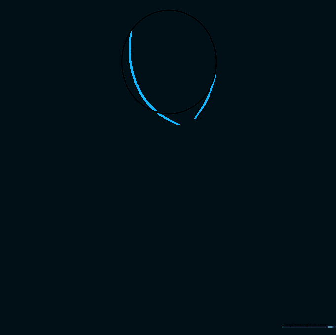 Two curved lines extending from the head guide to define the shape of the braid.