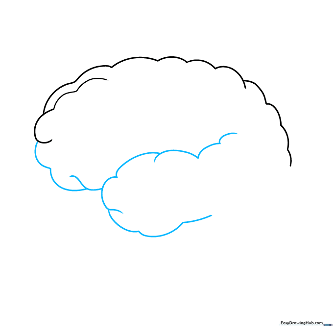 Drawing showing the addition of the temporal lobe section using curved, scalloped lines.