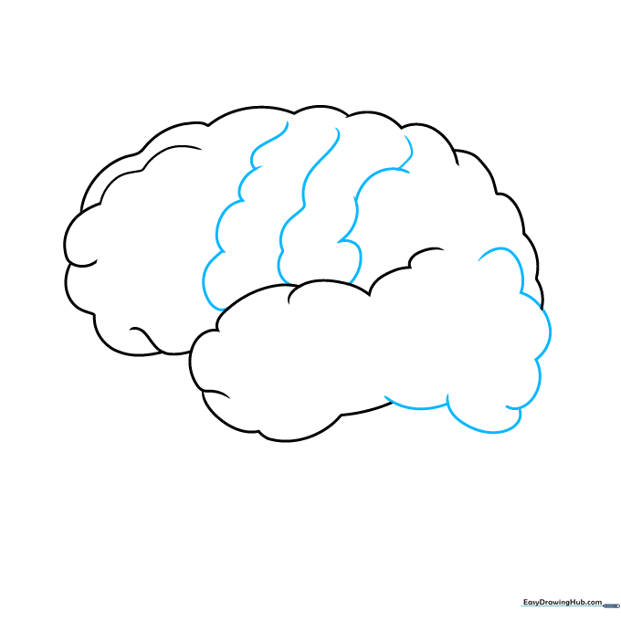 Drawing showing the occipital lobe and initial diagonal lines representing the sulci or folds of the brain.