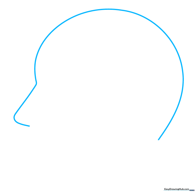 Pencil sketch of a wide C-shaped curve representing the top of a human head.
