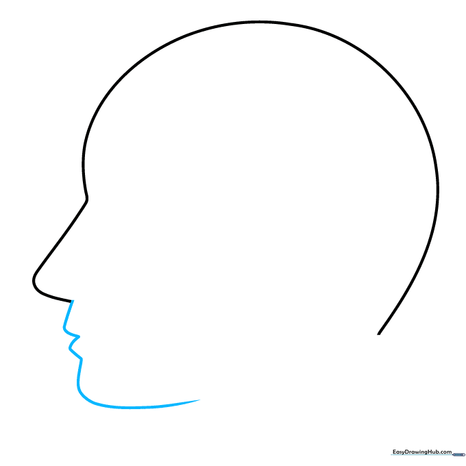 Drawing the nose and chin profile using a continuous wavy line.