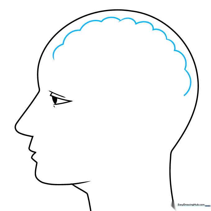 Adding scalloped, cloud-like lines to represent the top of the brain.