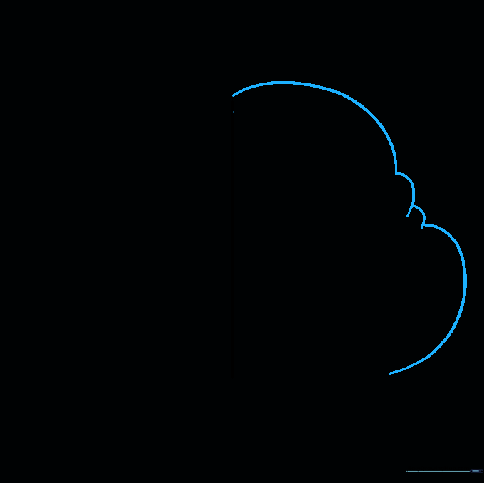 Drawing the left side of the brain using bumpy, irregular curved lines.