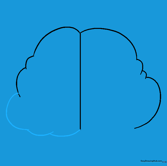 Connecting the top sections of the brain with rounded, bumpy lines.