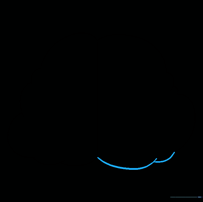 Completing the bottom outline of the brain with small, connected curves.
