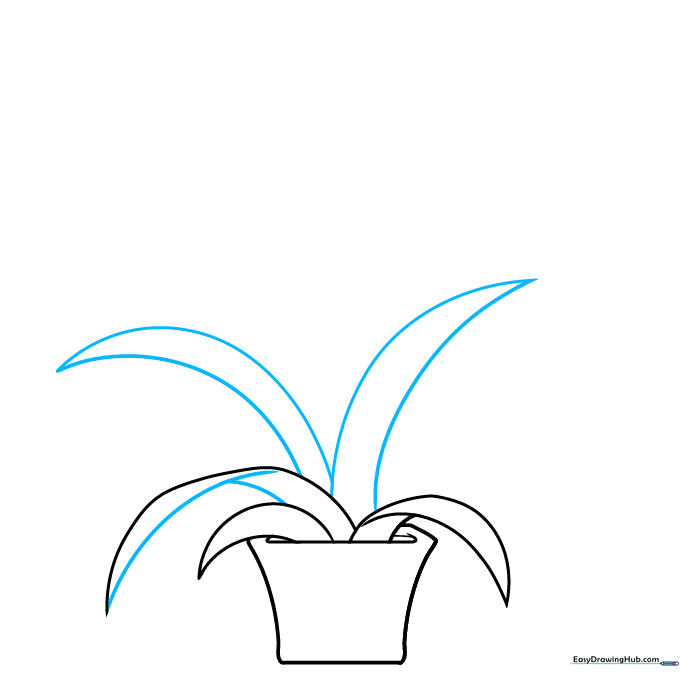 Additional leaves added to the base, creating a fuller, layered look for the plant.