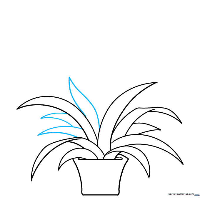 The plant base is now dense with overlapping, pointed leaves.