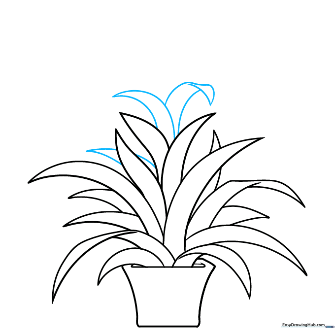 Leaves at the top of the plant are drawn with soft, downward curves.