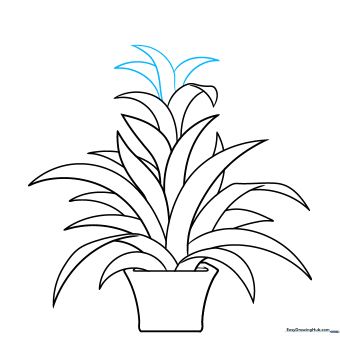 A central stalk is added to the middle of the plant, surrounded by leaves.